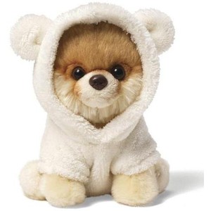 Clicker Training Your Dog